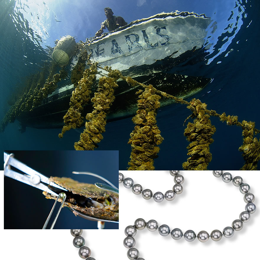 Clockwise from top – pearl farmer dropping oyster nets into shallower waters to allow a more natural cleaning process, Assael Tahitian pearl necklace, pearl being carefully extracted from an oyster