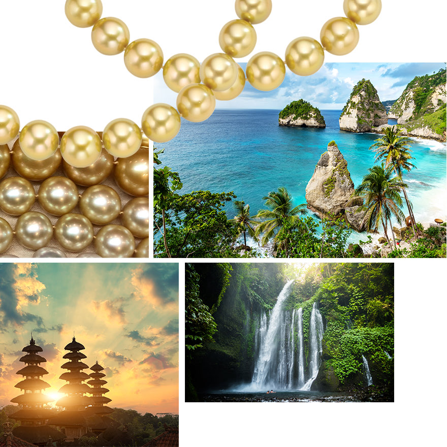 Assael_Global Pearls_Golden