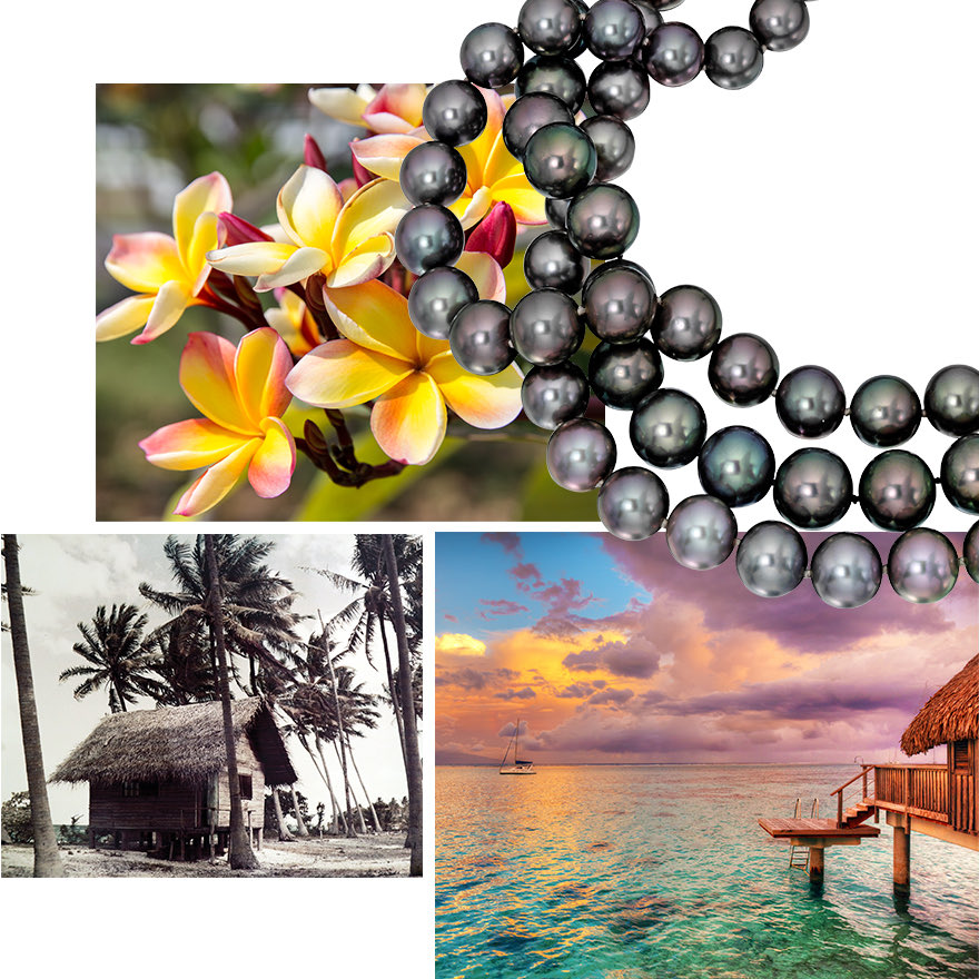 Clockwise from upper left – White and Pink Frangipani tropical flowers from French Polynesia / Assael Tahitian Pearl Strands / Overwater Bungalo in Moorea, French Polynesia / Salvador Assael’s first bungalow in Tahiti